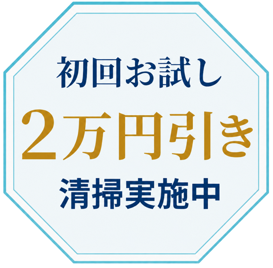 初回お試し 2万円引き 清掃実施中